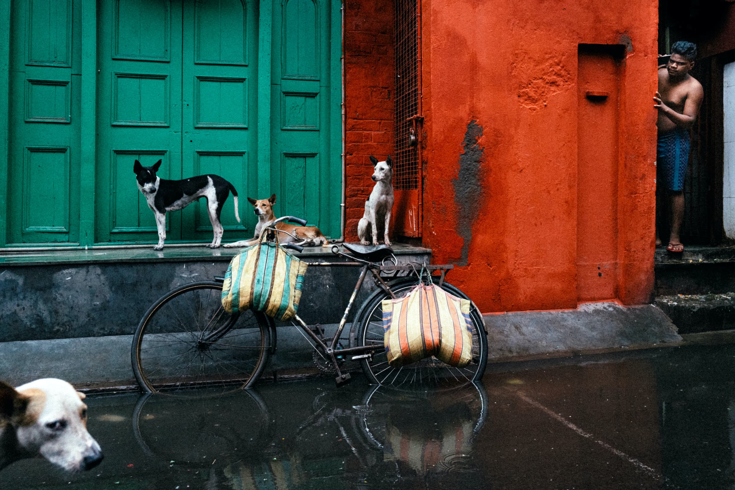 Bucket Shower by Jonathan Jasberg, frame 1 of 1
