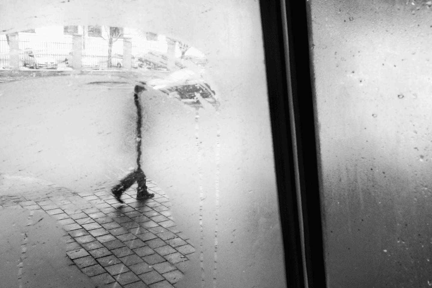 Rainy Day