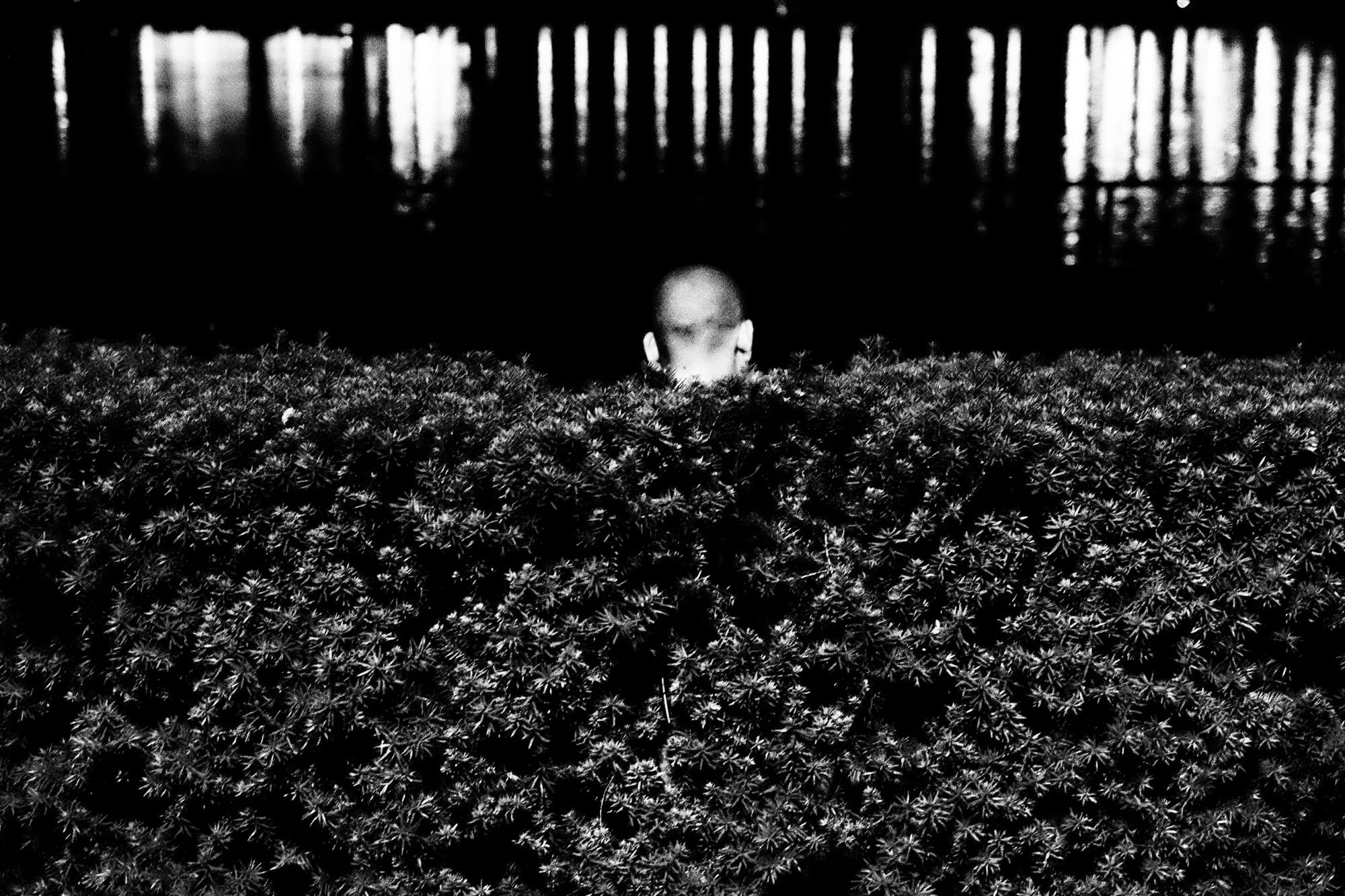 Marc Tauber - The Kennedy
