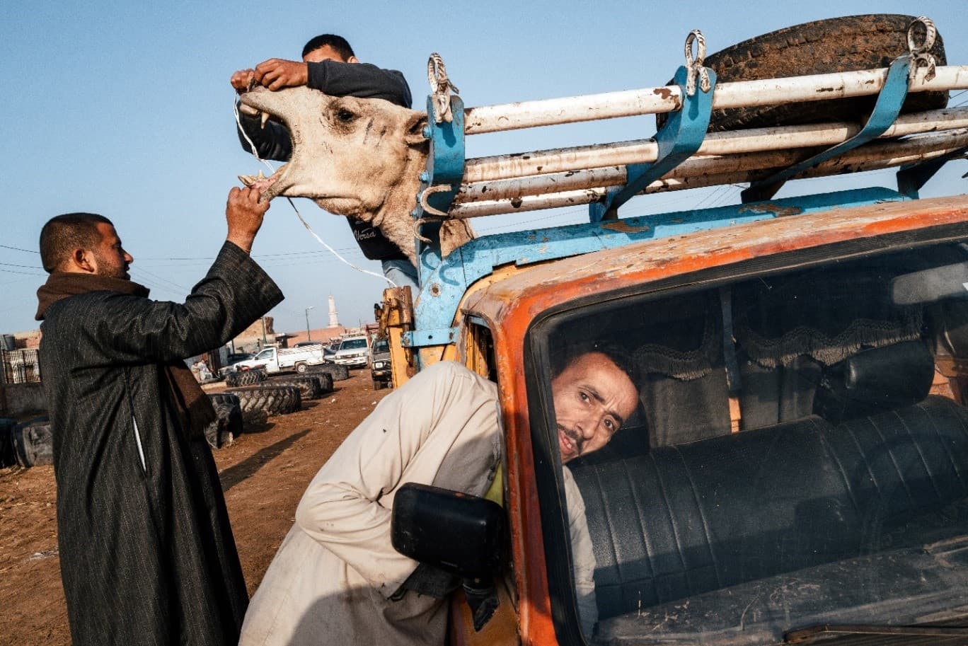 Cairo / A Beautiful Thing Is Never Perfect by Jonathan Jasberg, frame 6 of 9