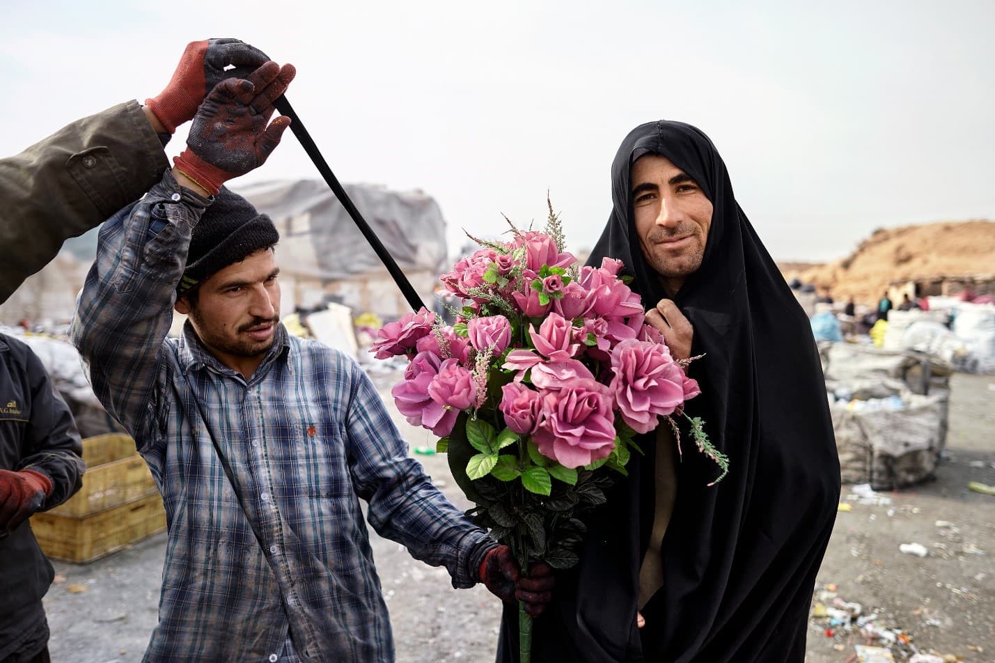Male courtship by Alireza Goudarzi, frame 1 of 1