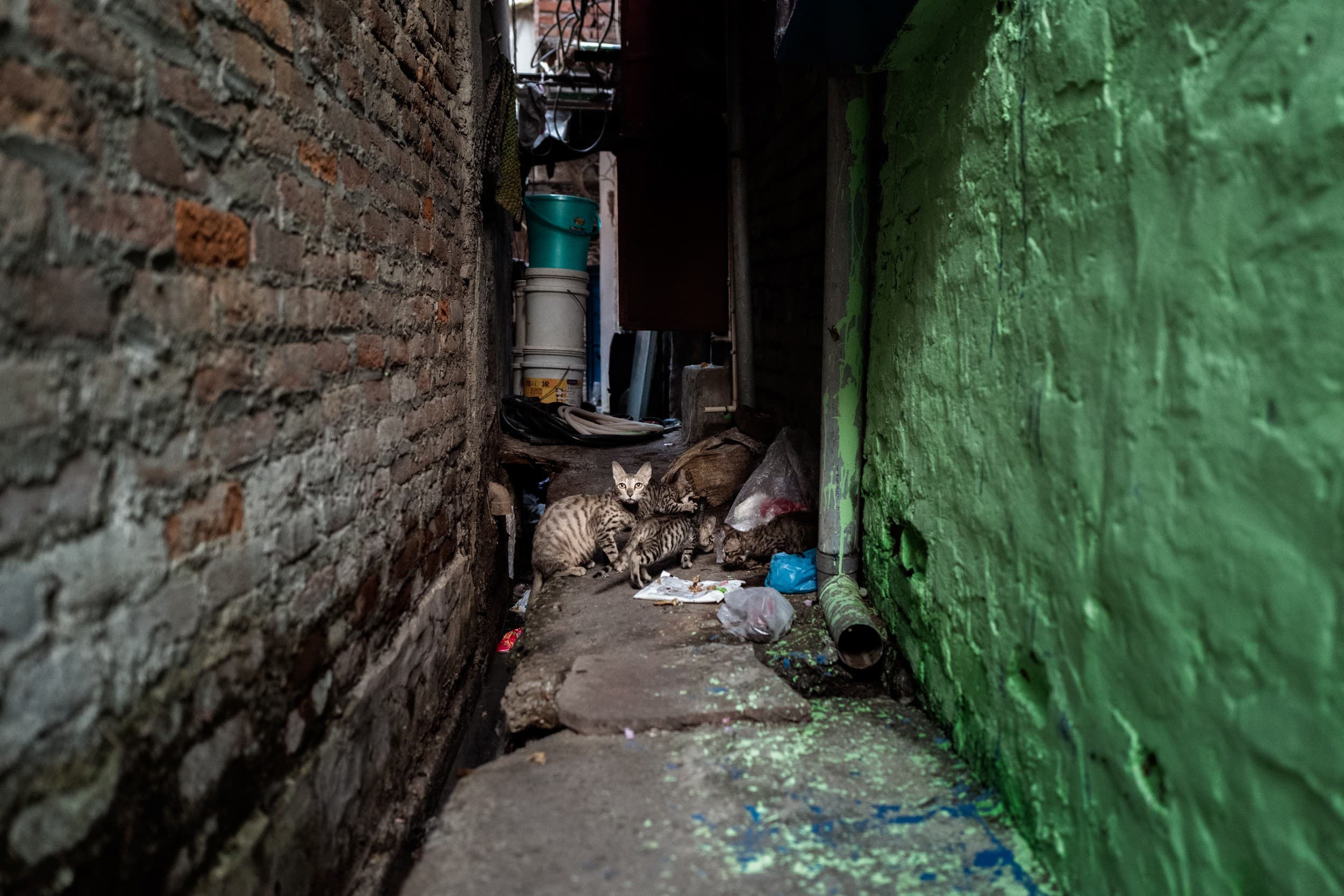 Delhi's slum